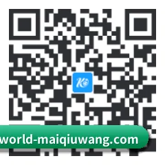 iOS 苹果版 二维码